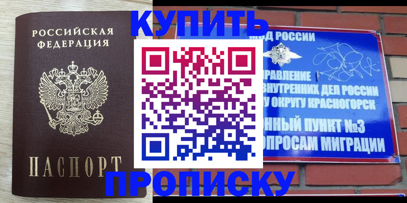 прописка гарантия в Пионерском